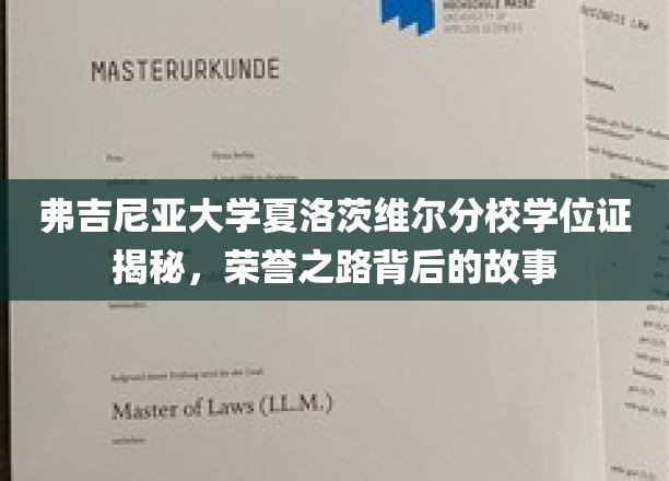 揭开弗吉尼亚大学荣耀学位背后的神秘面纱
