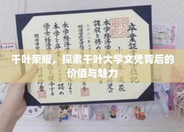 千叶大学文凭之光，揭秘学历背后的卓越价值与独特魅力