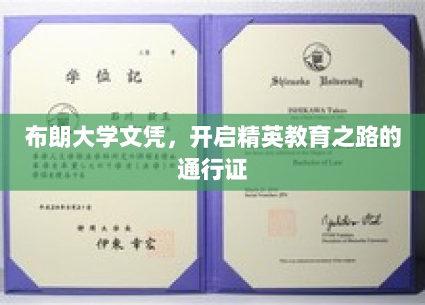 布朗大学文凭，开启精英教育之路的通行证