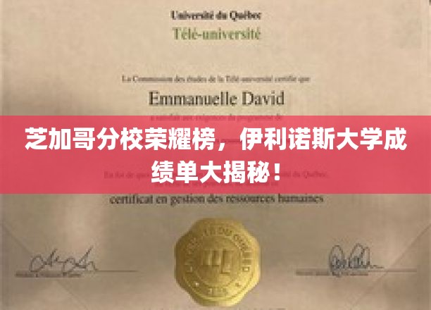 伊利诺斯大学芝加哥分校，揭秘辉煌成就背后的实力成绩单