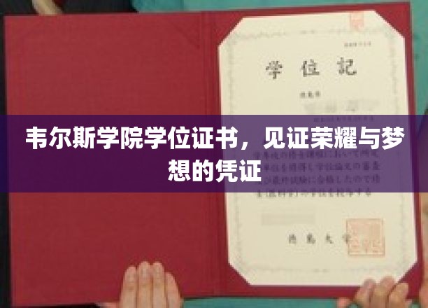 学位荣耀之门，韦尔斯学院证书映照梦想光辉