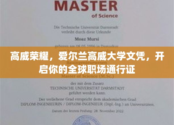 爱尔兰高威大学荣耀毕业，解锁国际职场无限可能！