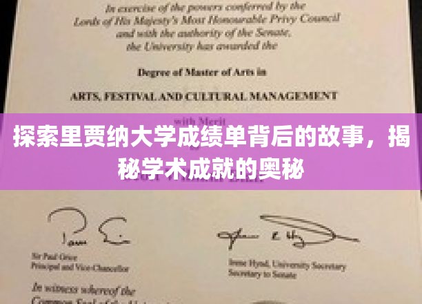 里贾纳大学成绩单探秘，解码学子学术成就的精彩篇章