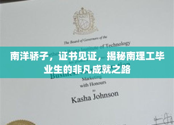 南理工骄子荣耀行，证书映照下的卓越成就之旅