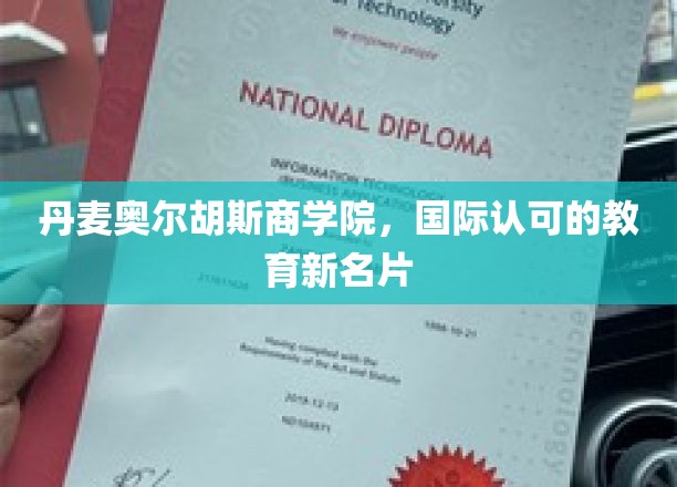欧洲教育新星，丹麦奥尔胡斯商学院，崛起的国际教育品牌