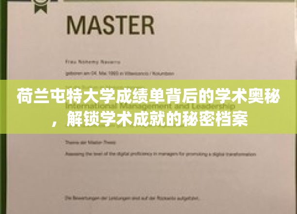荷兰屯特大学揭秘，成绩单中的学术成就密码