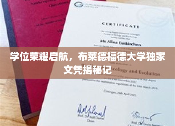 学位荣耀启航，布莱德福德大学独家文凭揭秘记