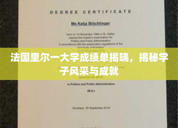 里尔大学成绩单曝光，一窥学子卓越风采与耀眼成就