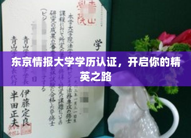 东京情报大学学历通行证，铺就精英未来新篇章