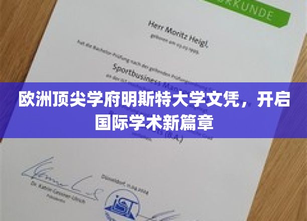 欧洲顶尖学府明斯特大学文凭，开启国际学术新篇章