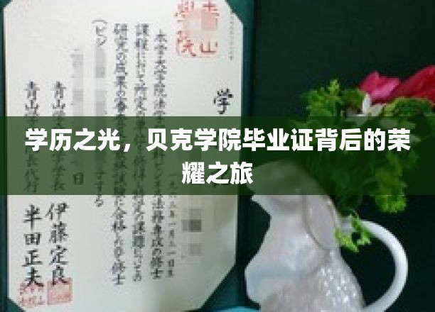 学历之光，贝克学院毕业证背后的荣耀之旅