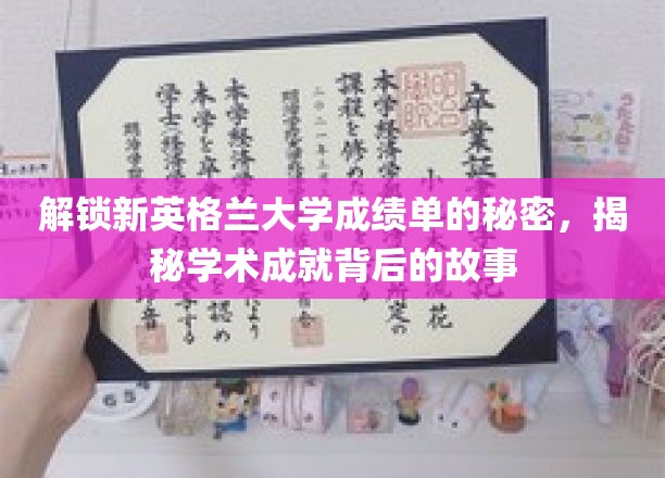 探寻新英格兰大学成绩单背后的精彩人生篇章