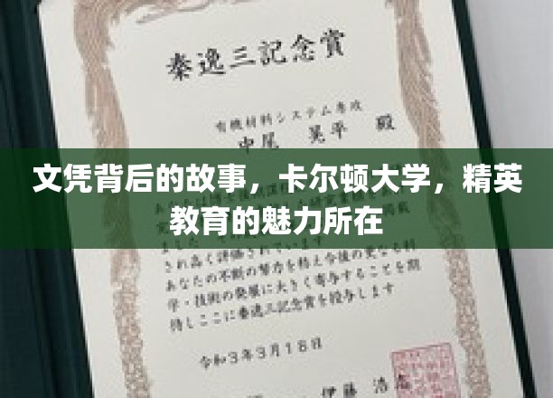 解码卡尔顿精英，文凭背后的大学传奇与教育风采