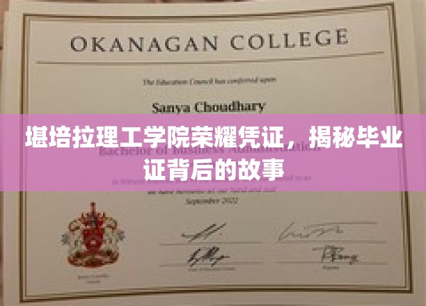 解码堪培拉理工学院毕业证，一场荣耀背后的深度探索