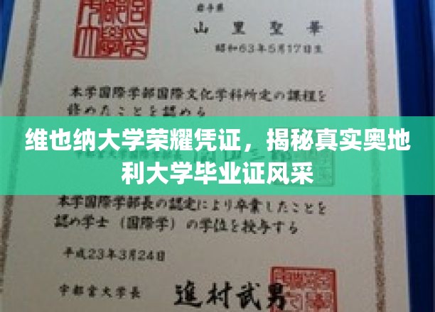 奥地利大学毕业证魅力全解析，维也纳大学荣耀凭证深度揭秘