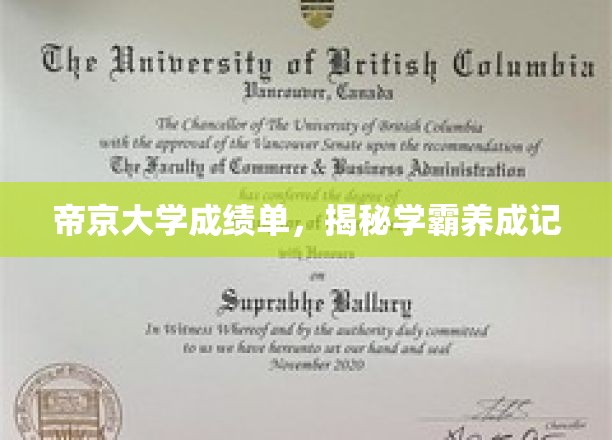 帝京学霸养成之路，揭秘成绩单背后的秘密