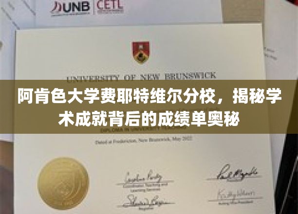 探寻阿肯色大学学术辉煌背后的神秘成绩单之谜