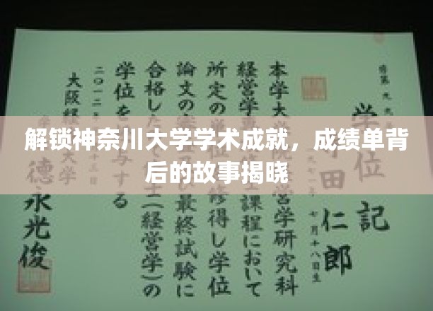神奈川大学辉煌成就揭秘，探寻成绩单背后的传奇故事