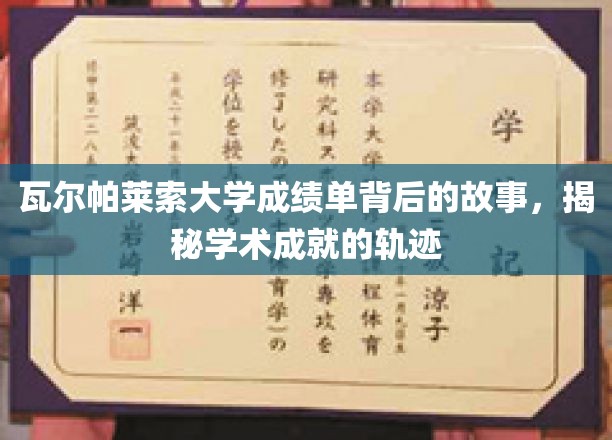 解码瓦尔帕莱索大学成绩单，探寻学术辉煌的秘密路径