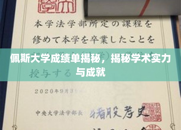 探索佩斯大学学术实力与辉煌成就的秘密宝藏
