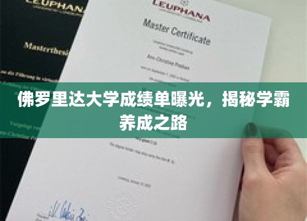 佛罗里达大学学霸养成记，成绩单背后的秘密曝光