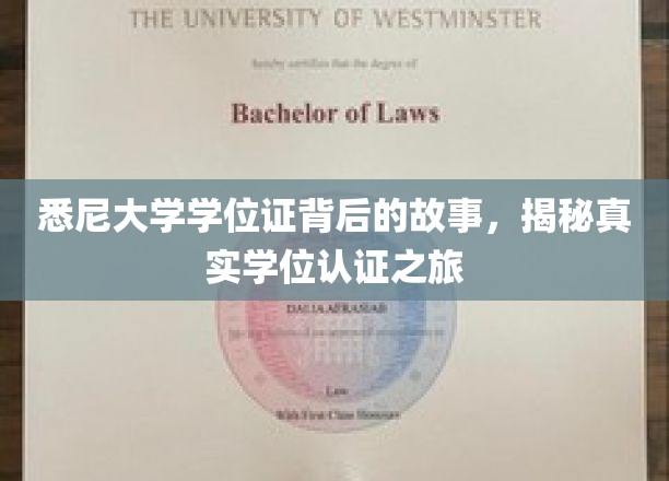 悉尼大学学位证背后的故事，揭秘真实学位认证之旅