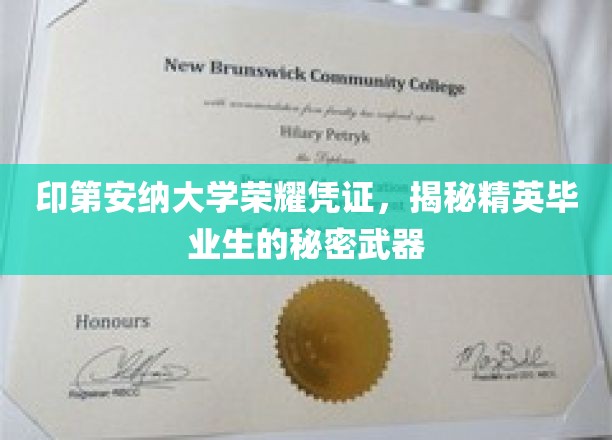 解码印第安纳大学精英毕业生背后的神秘优势