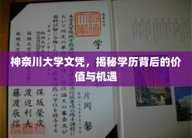 神奈川大学文凭，揭秘学历背后的价值与机遇