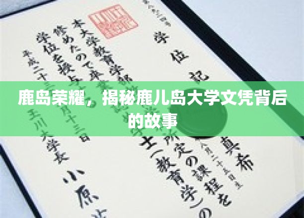 鹿岛辉煌，探寻鹿儿岛大学文凭的传奇历程