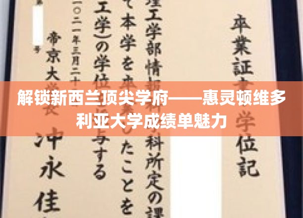 揭秘惠灵顿维多利亚大学成绩单背后的学术奥秘
