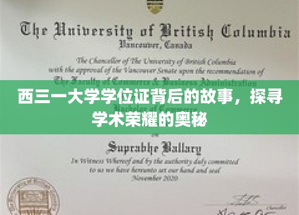 解码西三一大学学位证的传奇，探寻荣耀背后的学术秘境