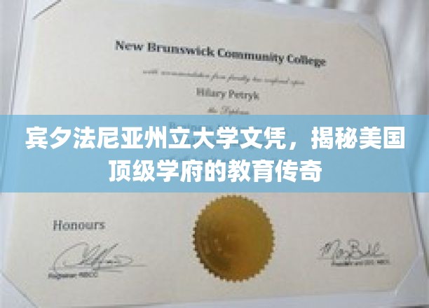 解码宾夕法尼亚州立大学，探寻精英教育的美国秘境