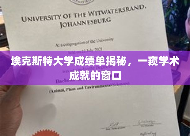 探索埃克斯特大学成绩单，开启学子成就的透明窗口