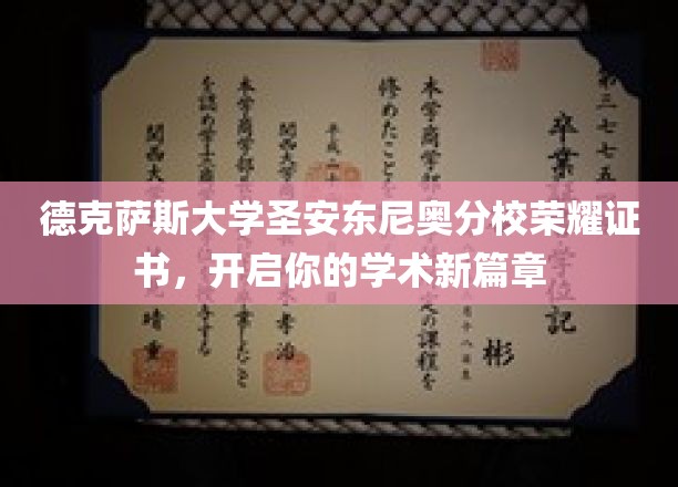 德克萨斯大学圣安东尼奥分校荣耀证书，解锁学术梦想之门