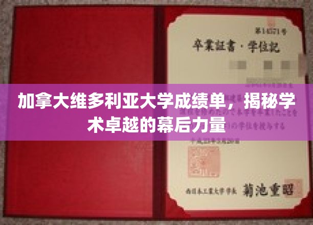 解码加拿大维多利亚大学，探寻卓越学术成就的幕后秘密