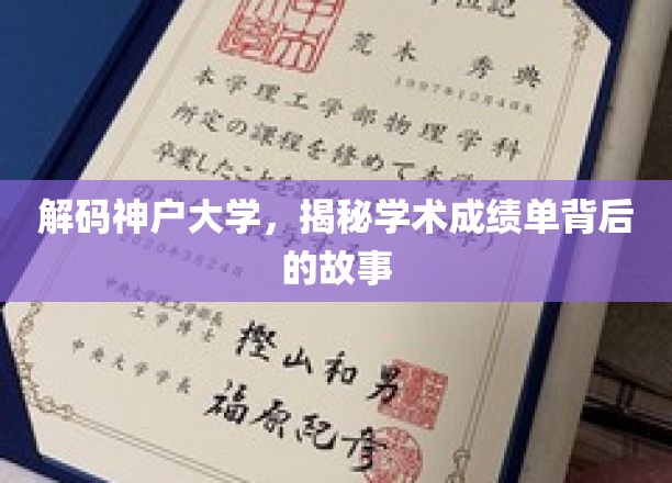 神户大学成绩单揭秘，探寻学术背后的璀璨故事