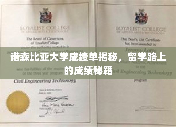 诺森比亚大学成绩单揭秘，留学路上的成绩秘籍
